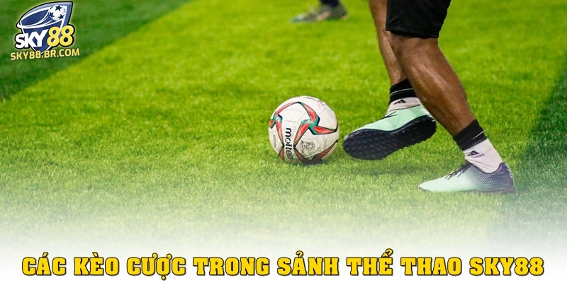 Các kèo cược trong sảnh thể thao Sky88